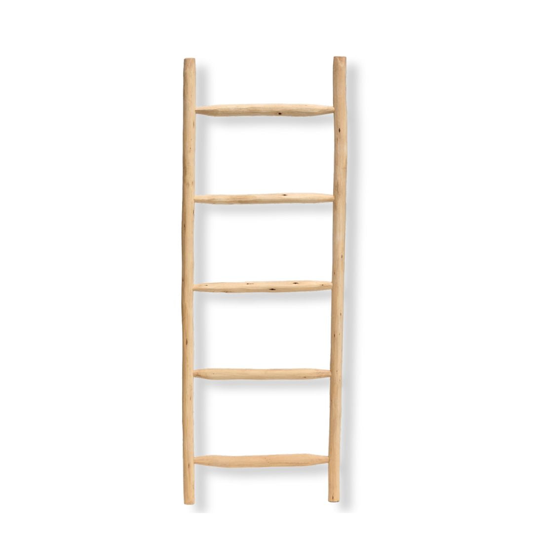 Wooden ladder 60wx170h