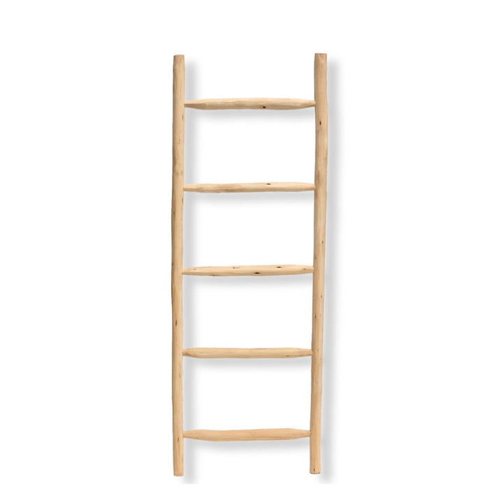 Wooden ladder 60wx170h